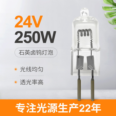 Bóng đèn y tế điện áp thấp G6.35 24V 250 Watt Bóng đèn halogen thay thế
