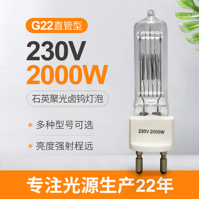 230v 2000w G22 Bóng đèn Halogen thạch anh Bi Pin Đèn Halogen chống cháy nổ
