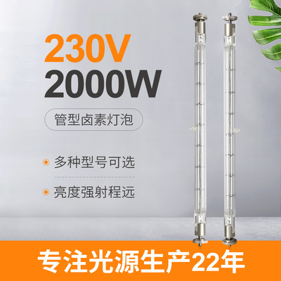 Bóng đèn thạch anh 230V 2000w Bóng đèn Halogen Đôi ống thay thế máy sưởi hồng ngoại đã kết thúc